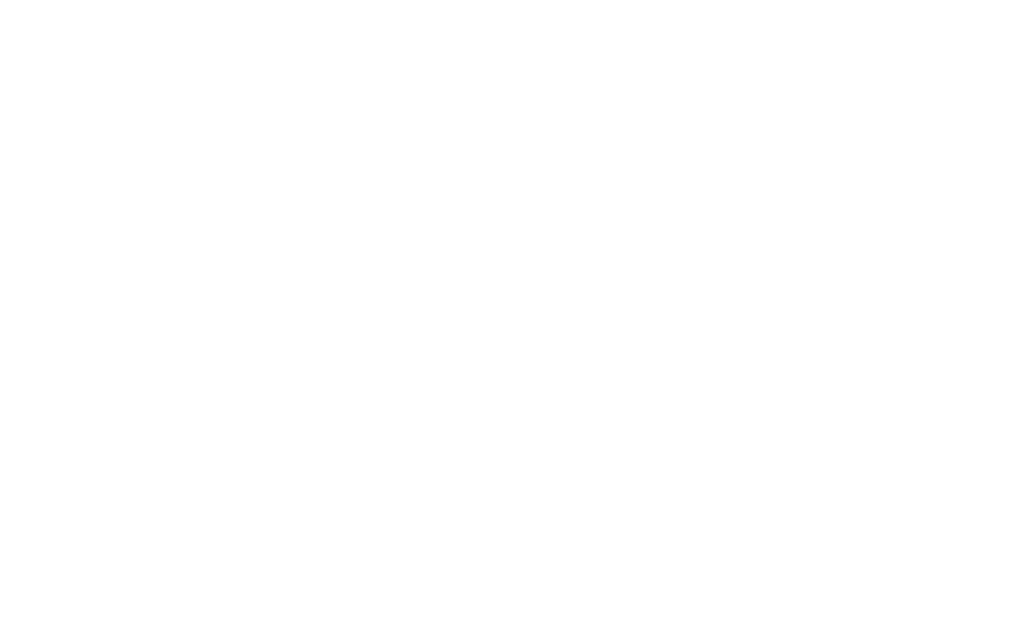Fliteschool Service's Logo
